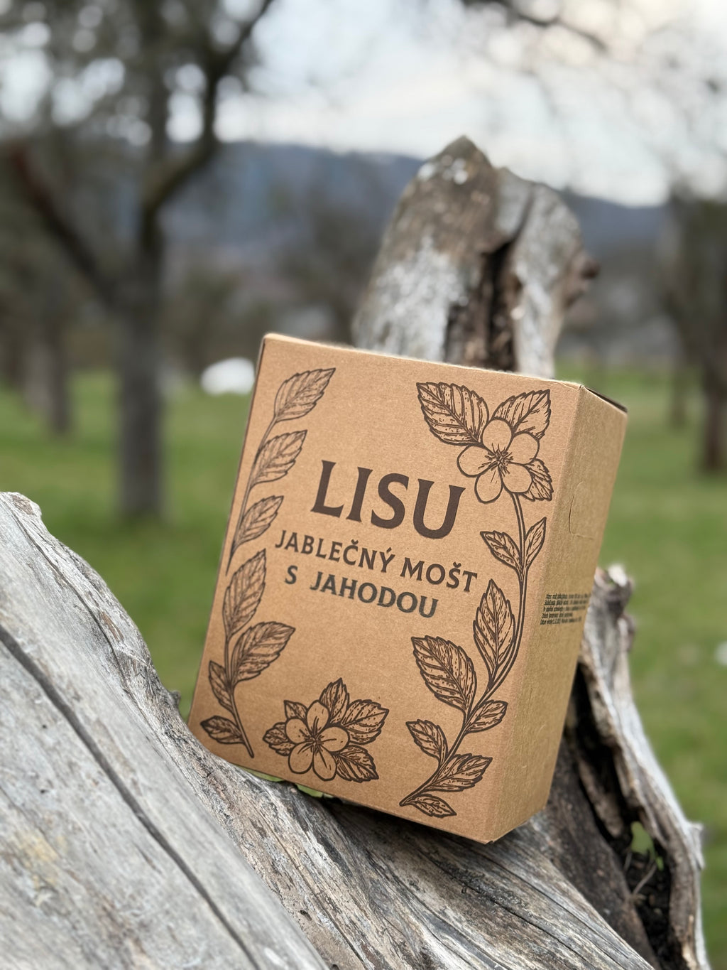 Jahodový mošt LISU