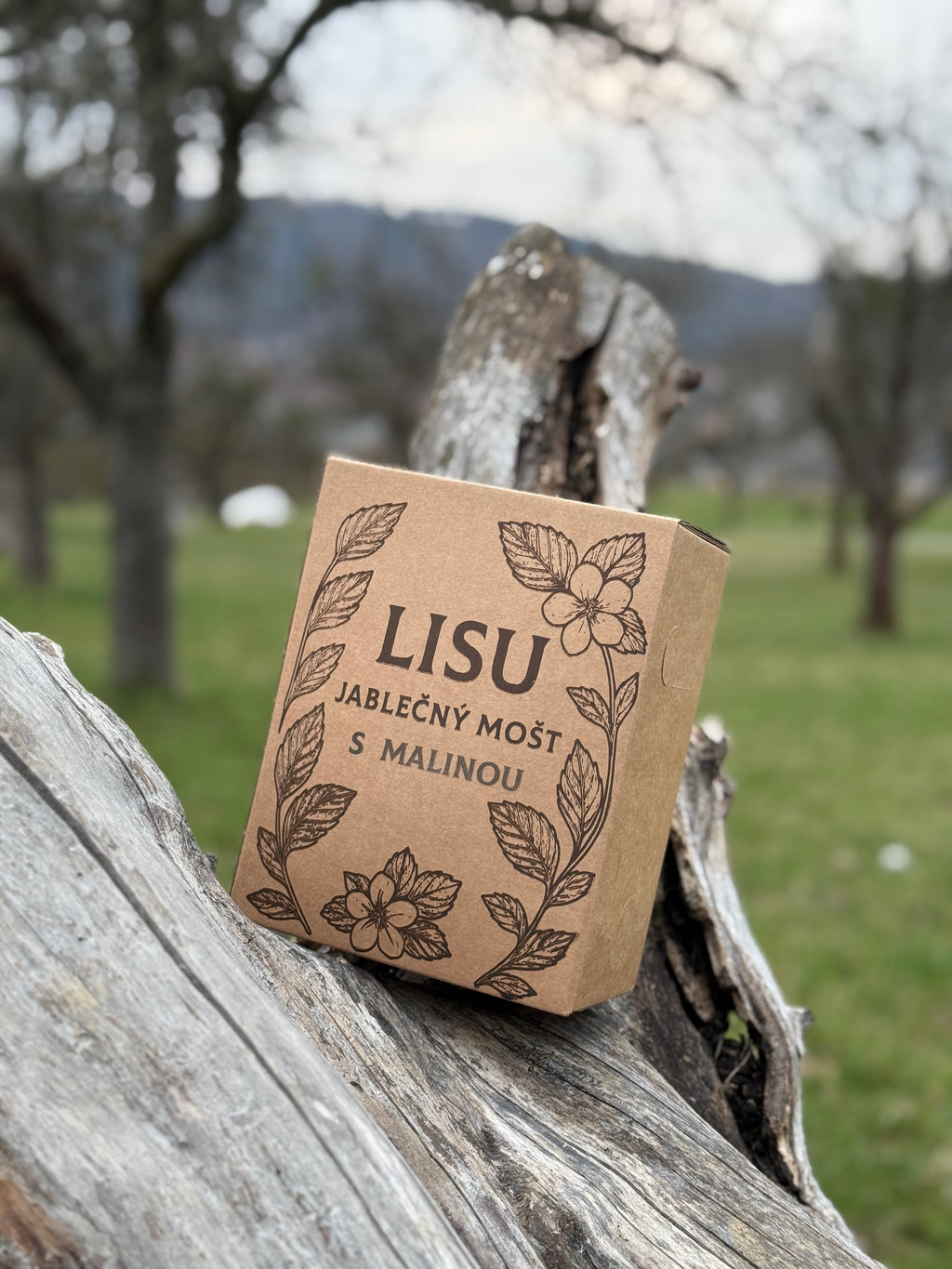 Malinový mošt LISU