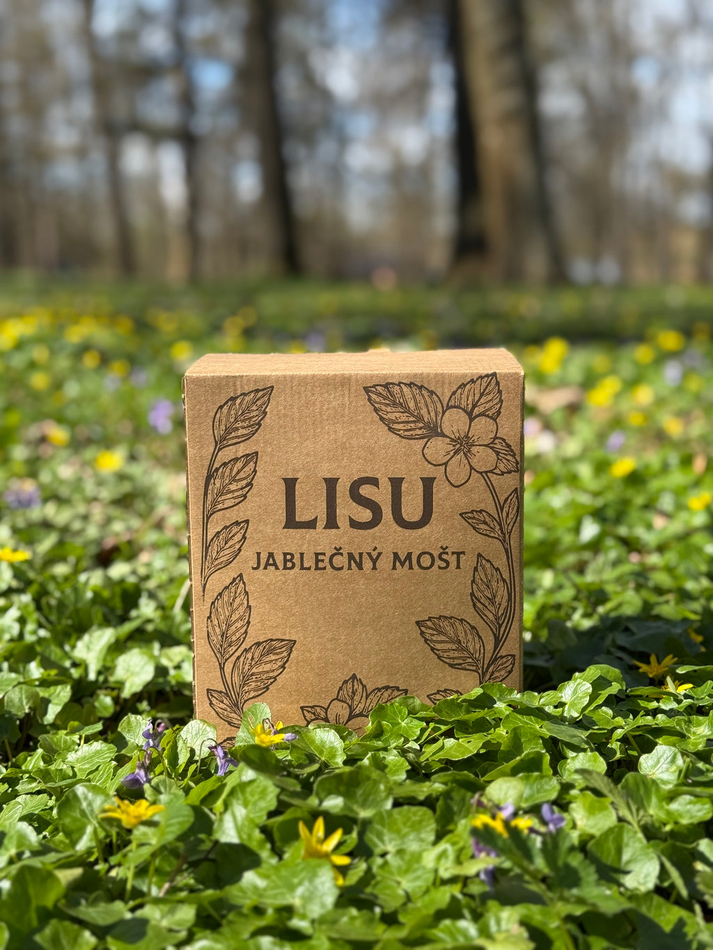 Jablečný mošt LISU