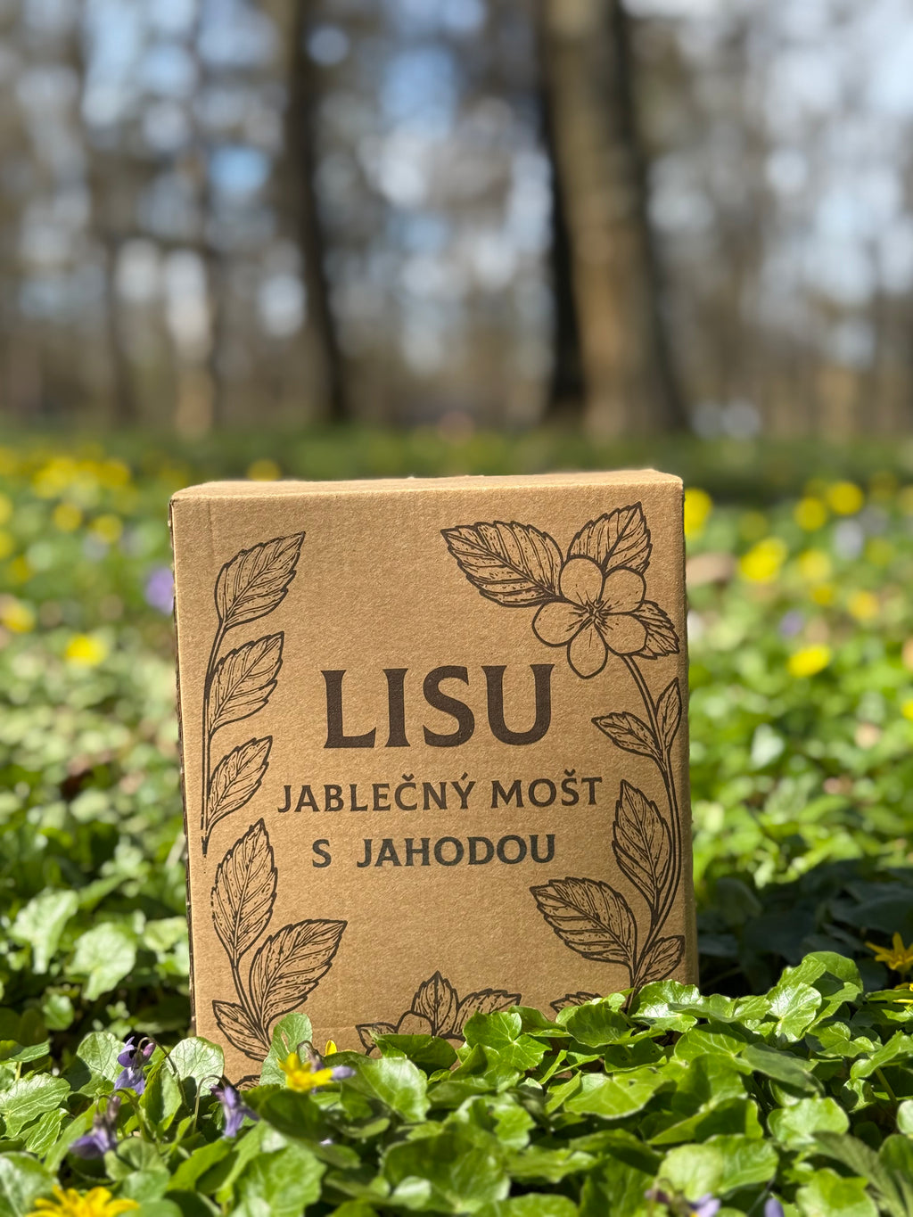 Jahodový mošt LISU