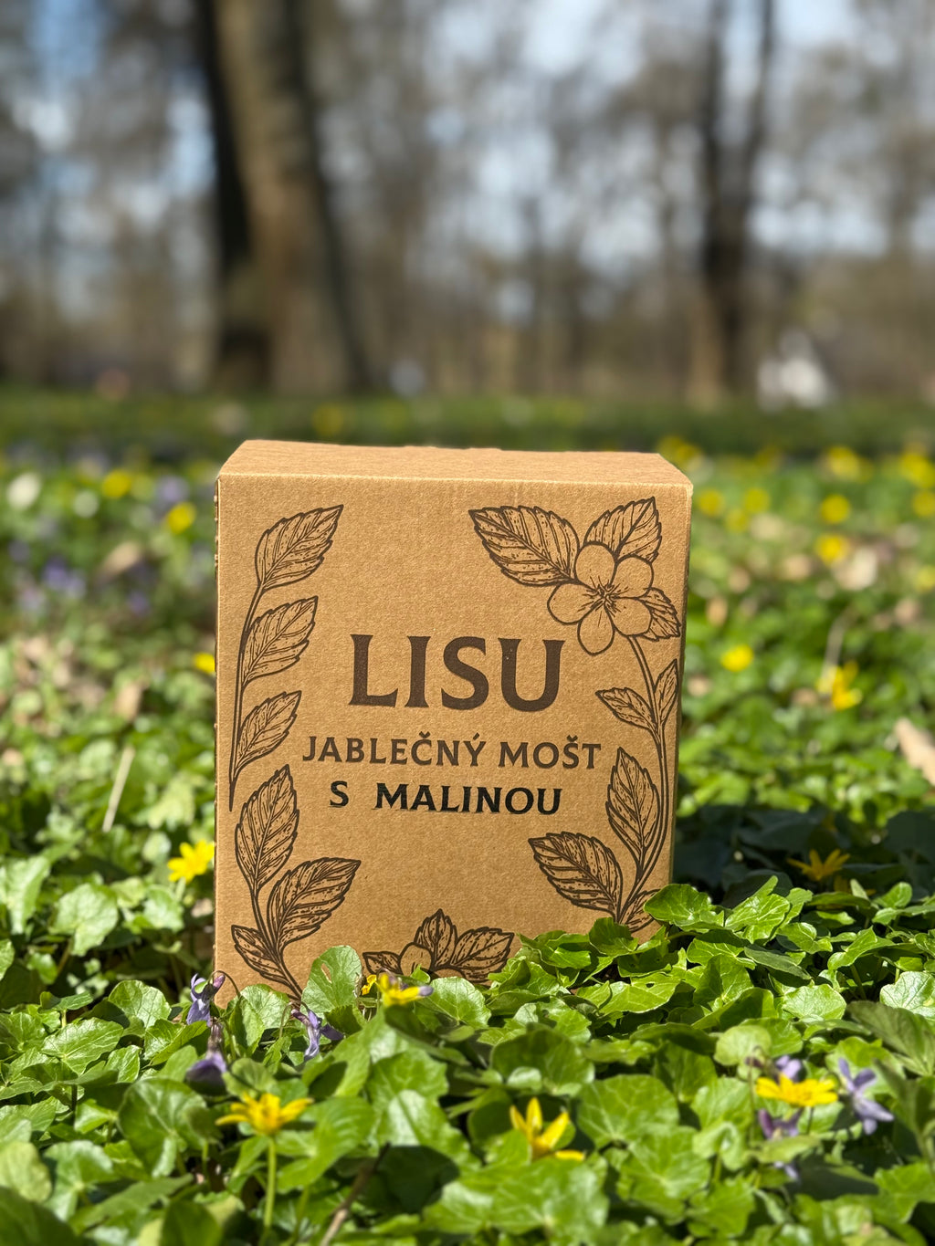 Malinový mošt LISU